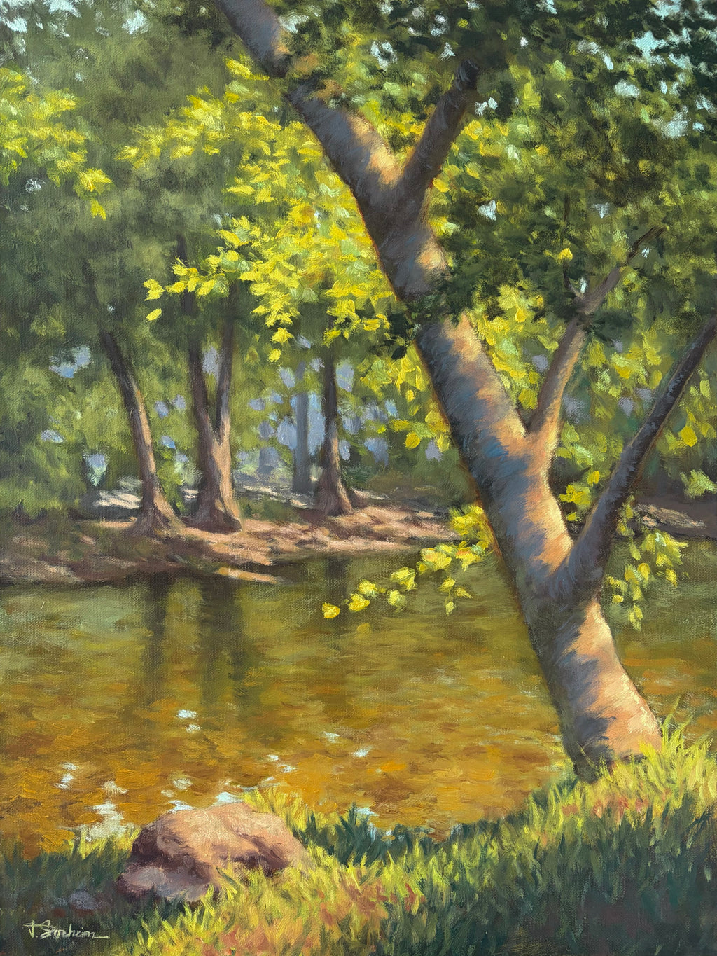 Mississippi Foliage