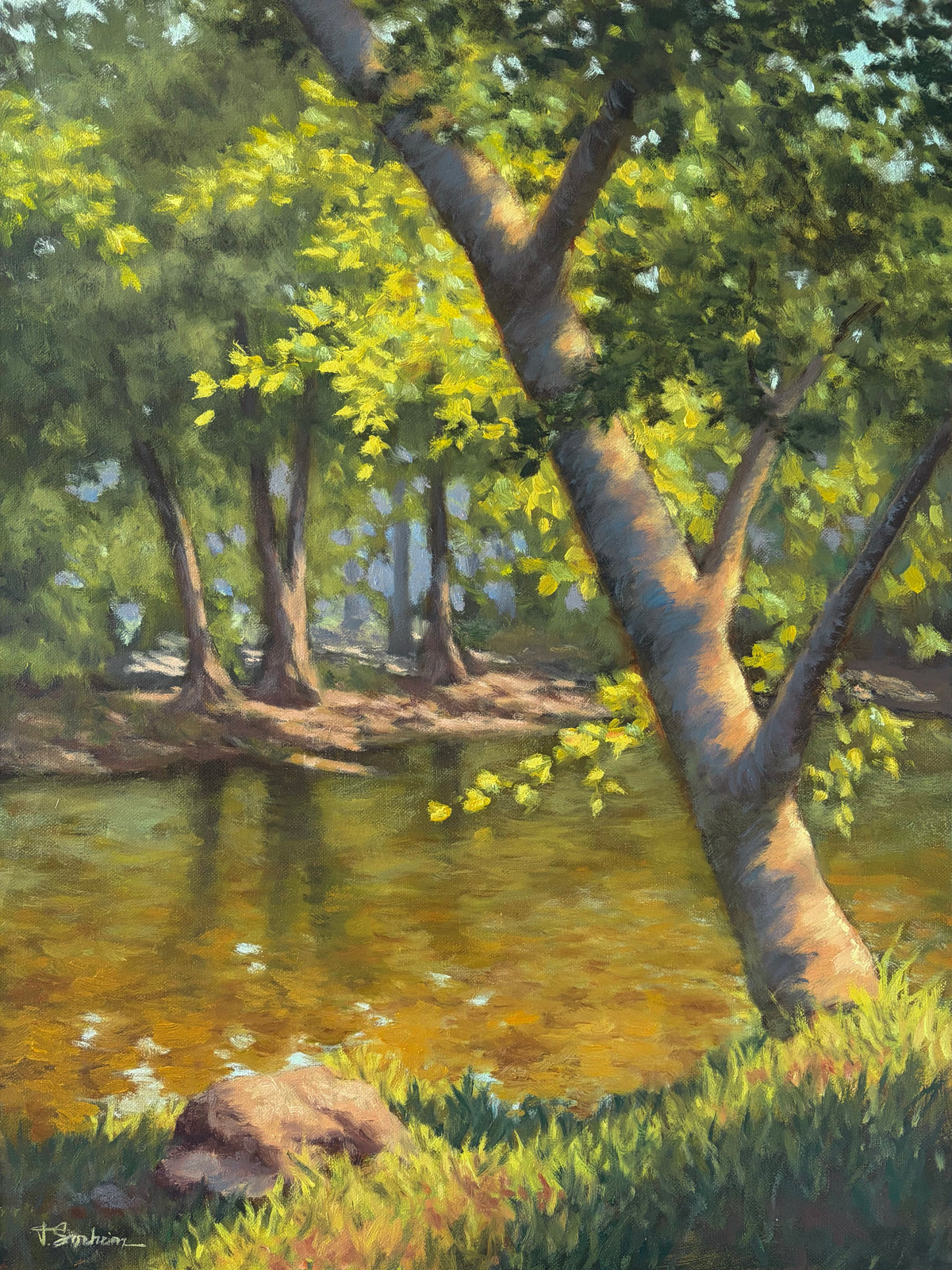 Mississippi Foliage
