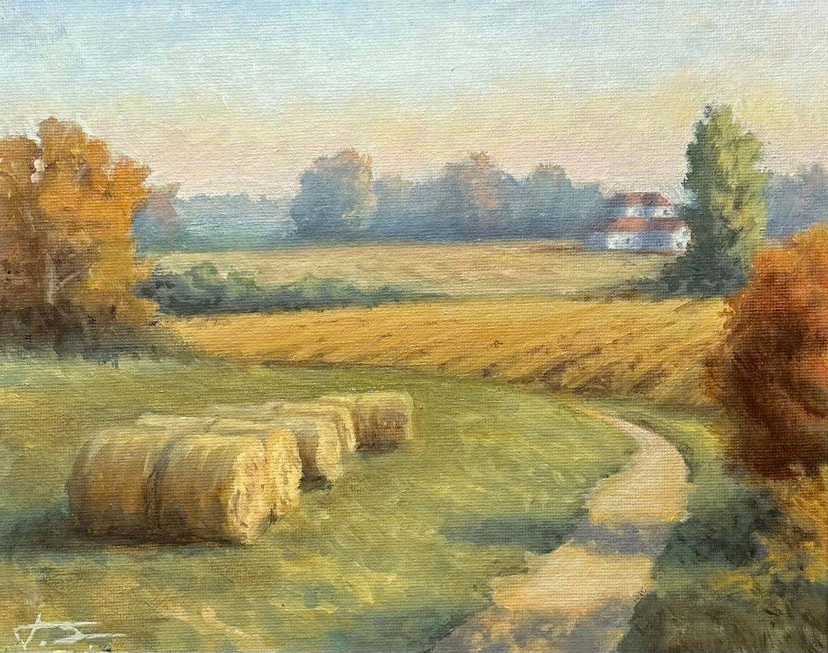 Autumnal Country Side