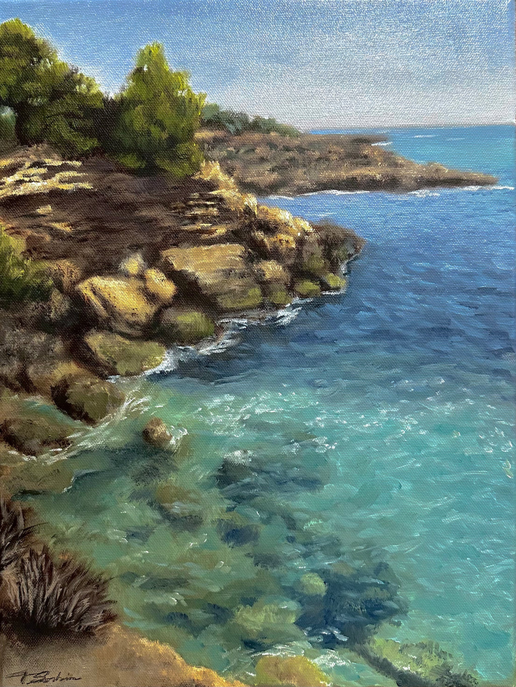 Turquoise Shoreline